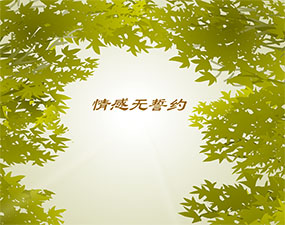 情感无誓约flash动画